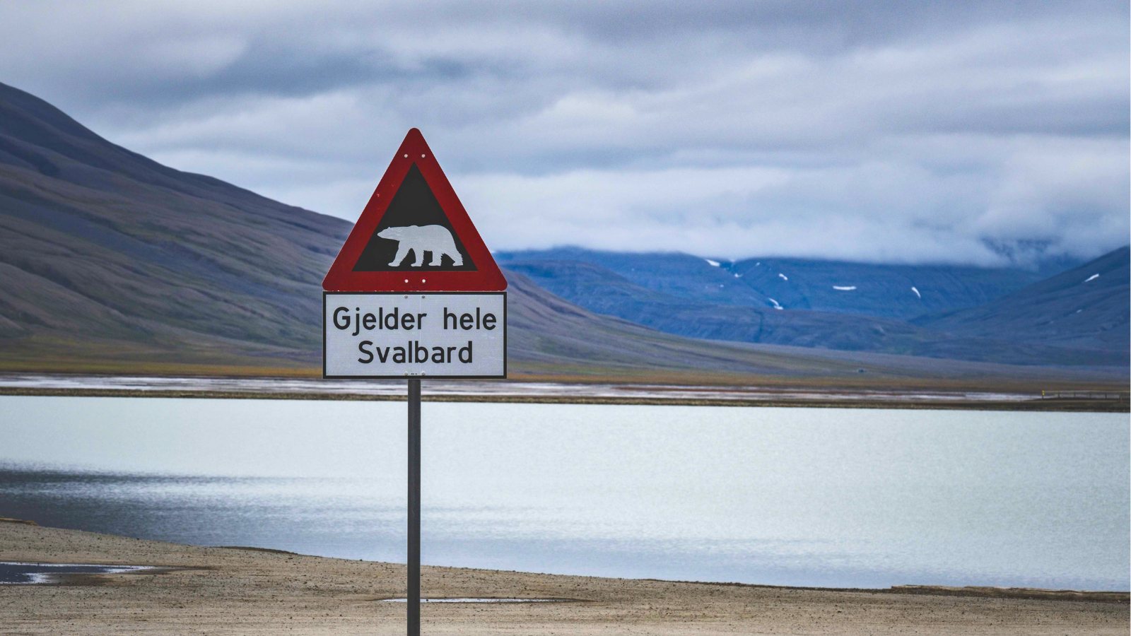 A polar bear warning sign outside Longyearbyen.