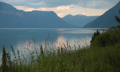 The Sognefjord at sunset