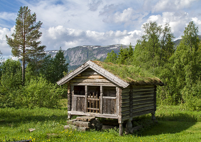 Cabin in the forest of Telemark Norway