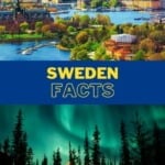 Sweden Facts Pin