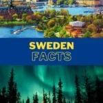 Sweden Facts Pin