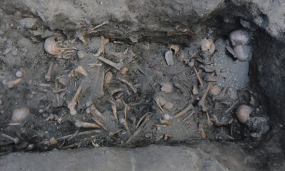 Medieval skeletons grave in Trondheim, Norway