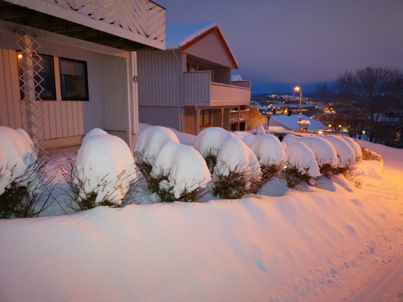 snowy scene Bodo