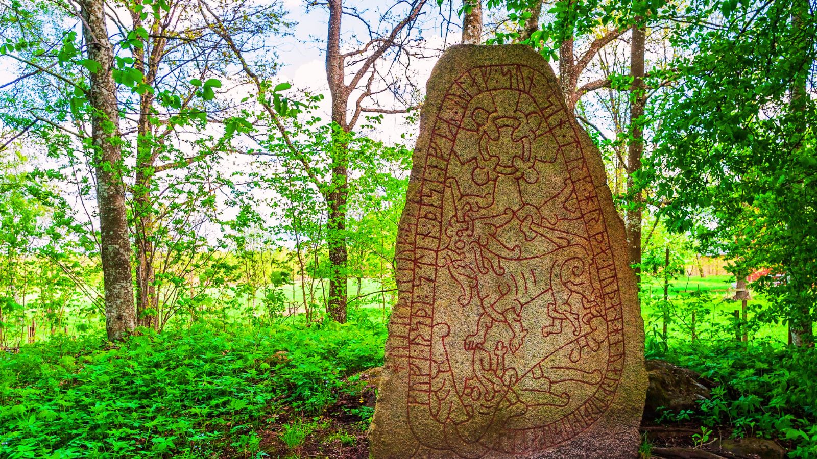Viking Age runestone in a forest.