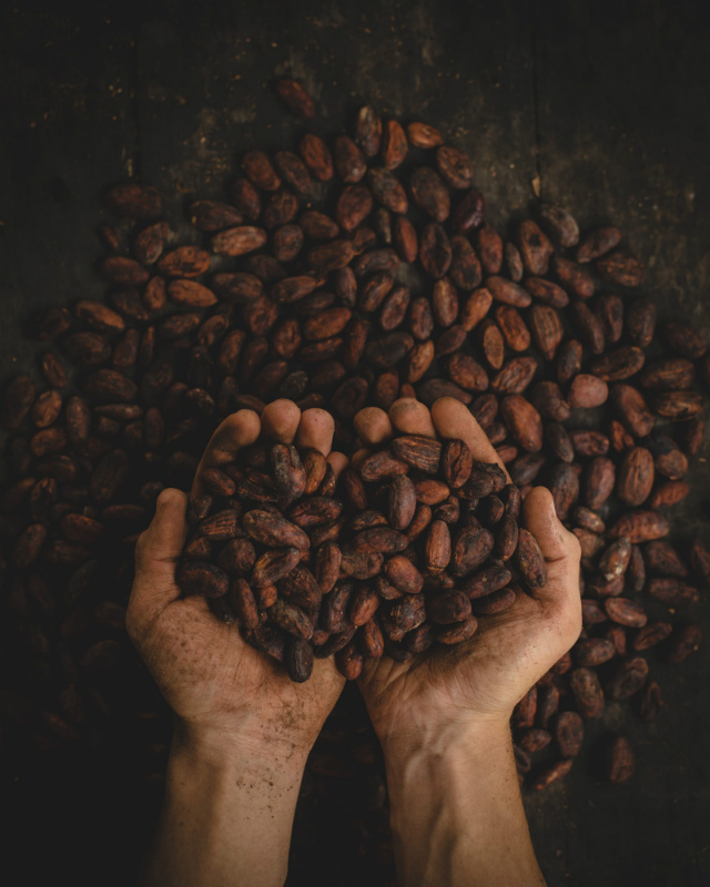 coffee beans photo