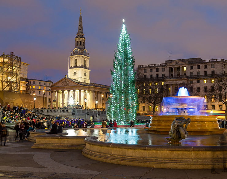 Christmas tree in London's Trafalgar Square