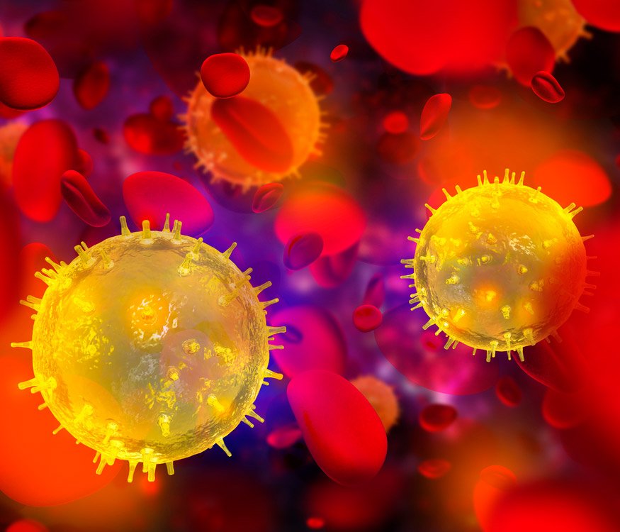 An illustration of the coronavirus