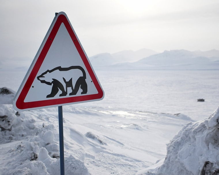 A polar bear warning sign near Barentsburg in Svalbard
