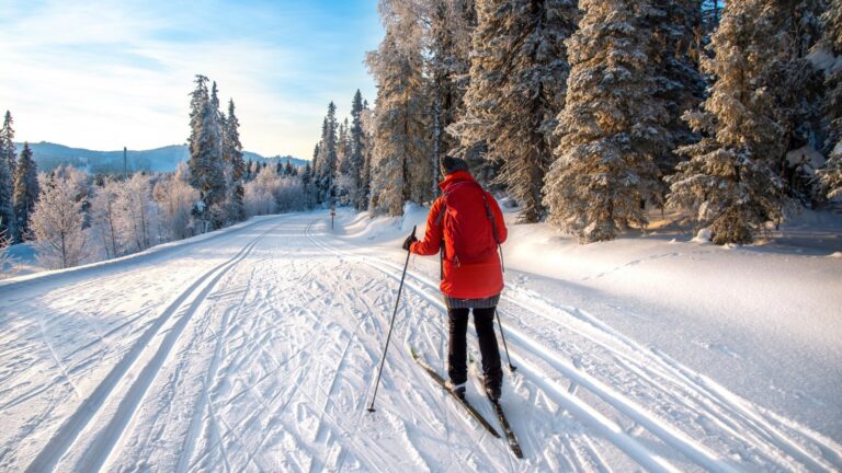 Cross-country skier out in nature.