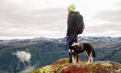 Woman walking a dog on a mountain hike in Norway