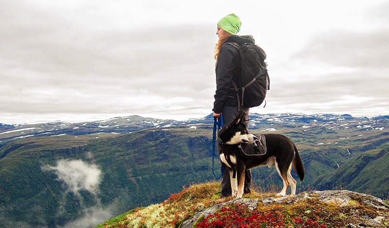 Woman walking a dog on a mountain hike in Norway