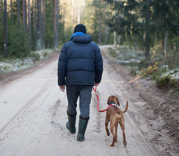 A Norwegian dog walker