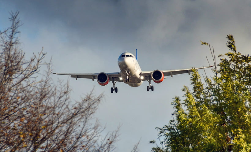 SAS airplane through trees