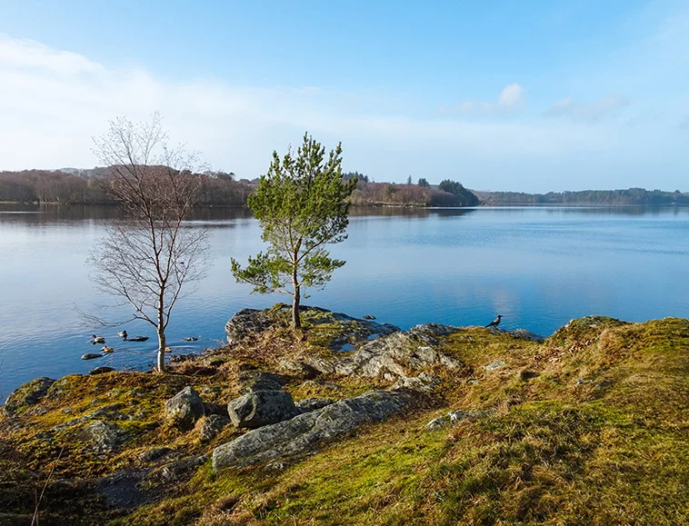 Stokkavannet innsjøbutikk i Stavanger, Norge