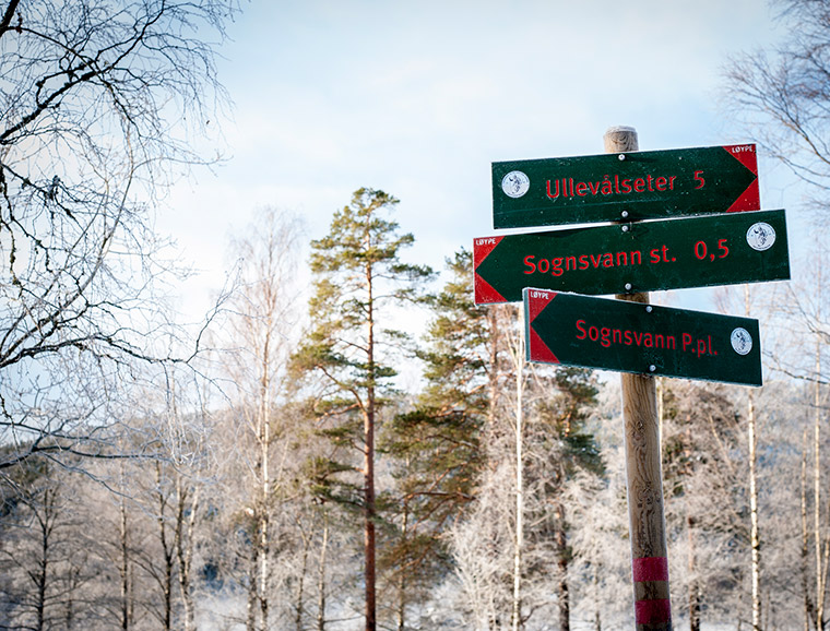 Signposts for hikers at Sognsvann in Oslo