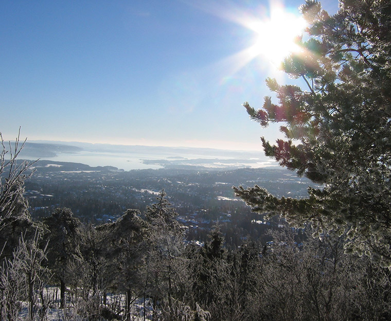 The viewpoint from the Vettakollen hike in Oslo, Norway