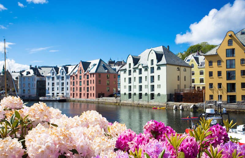 Buildings and flowers in Ålesund, Norway, in the summer