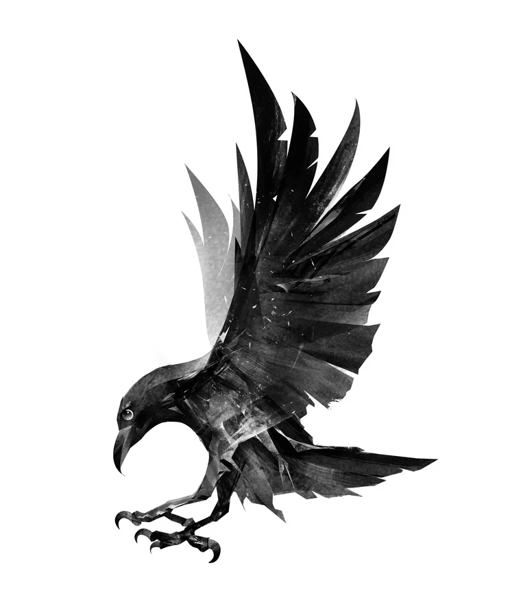 A raven from Norse mythology