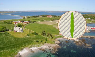 The Viking ship grave scan on Edøy Island off the coast of Norway