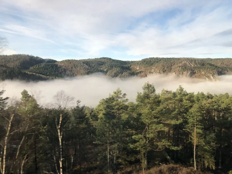 Oslo to Stavanger train mist