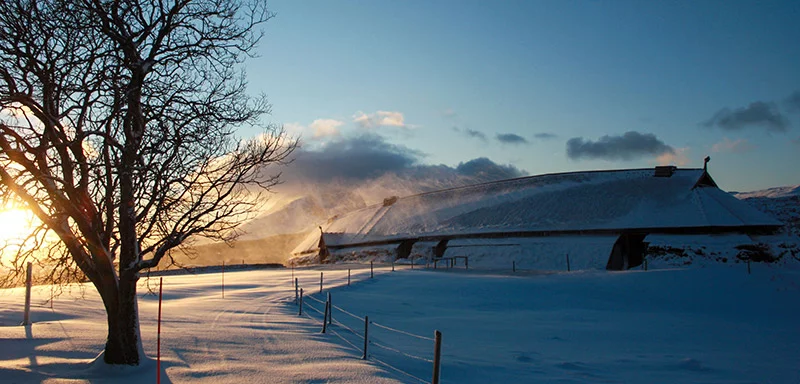 Longhouse at the Lofotr Viking museum in the winter