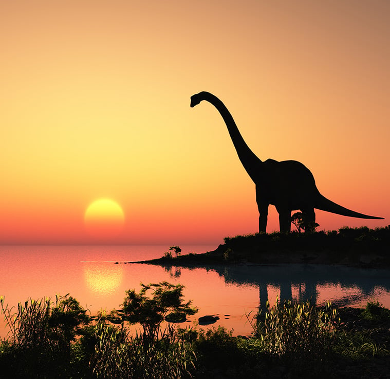 Dinosaur waterfront sunset