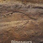Dinosaurs in Norway and Scandinavia