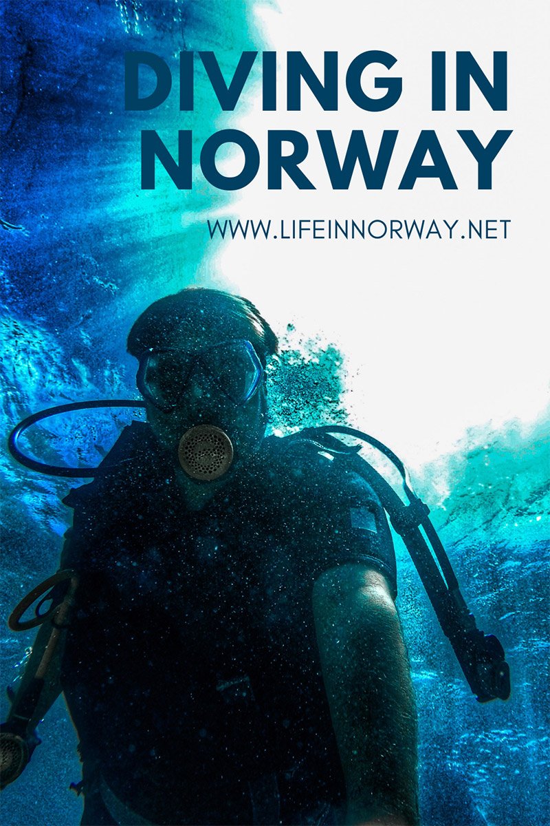 Diving in Norway The Country's Best Dive Sites