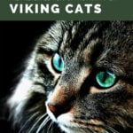 Viking Cats for pinterest