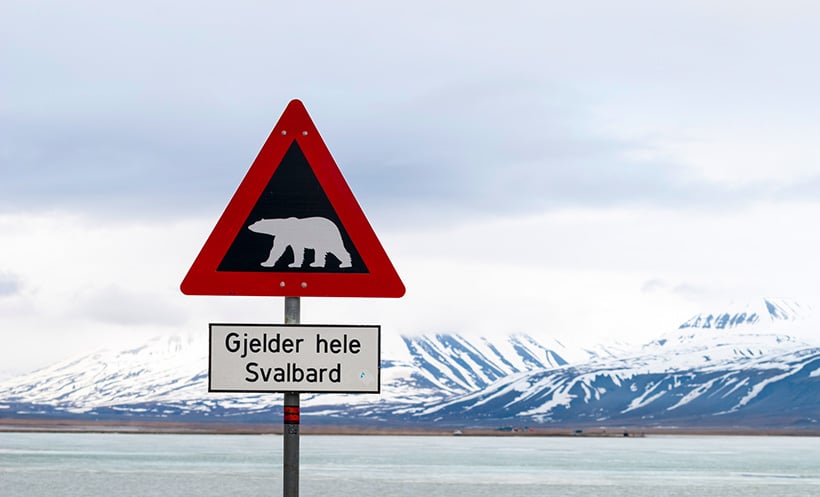 The polar bear warning sign in Longyearbyen, Svalbard