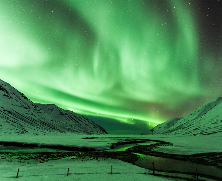 A full sky of green northern lights