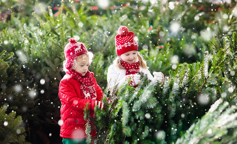 Christmas in Norway - Children with Christmas trees