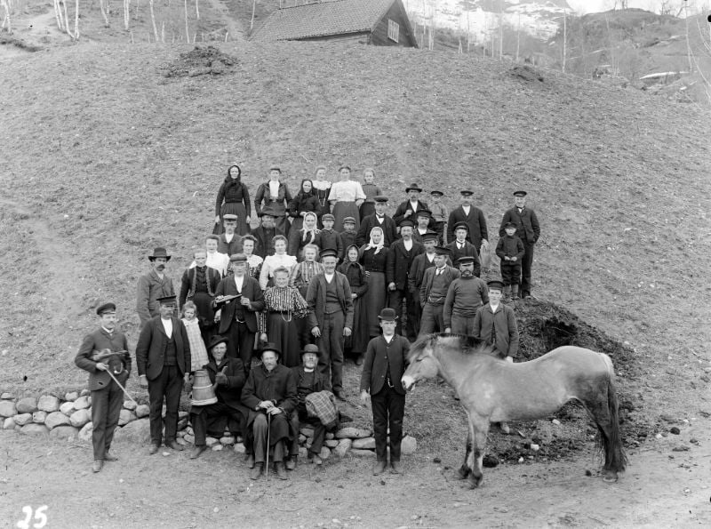 Norwegian wedding photo with horse