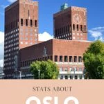 Oslo Stats Pin