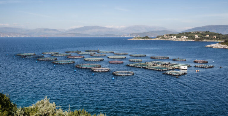 Fish farm off the coast of Norway