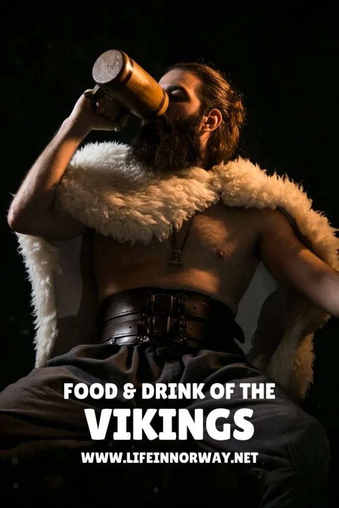 Viking Food and Drink pin