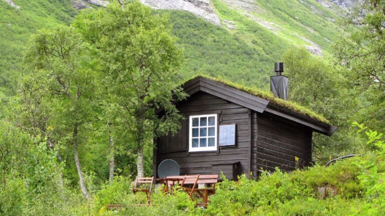 A Norwegian mountain cabin surrounded by forest.