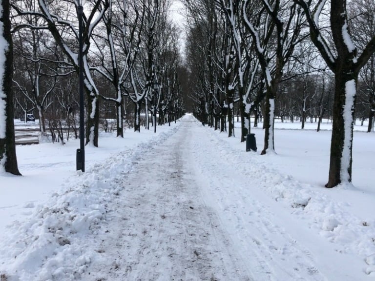 A winter scene from the Oslo campus