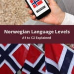 Norwegian Language Levels Pin