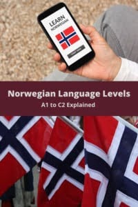 Norwegian Language Levels Pin
