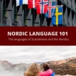 Nordic Language 101 Pin