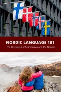 Nordic Language 101 Pin
