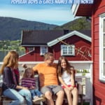 Scandinavian family names pin