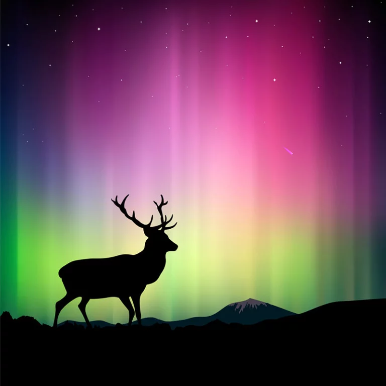 Aurora borealis illustration featuring a deer