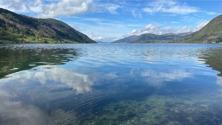 View of a Norwegian fjord. Photo: David Nikel.