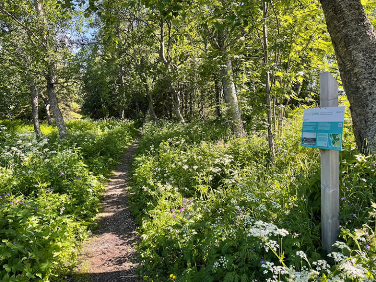 Nature trail near Tromsø museum