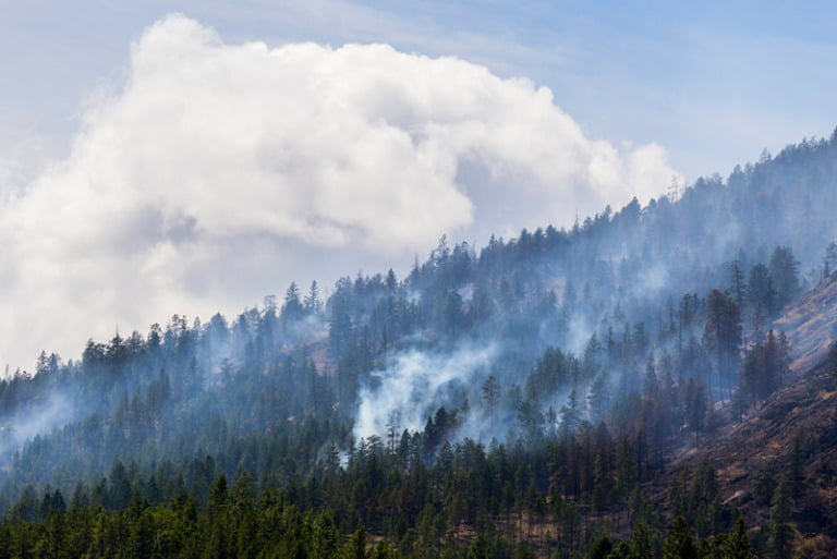 Wildfire smoke in British Columbia, Canada