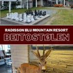 Radissin Blu Beitostølen Pin