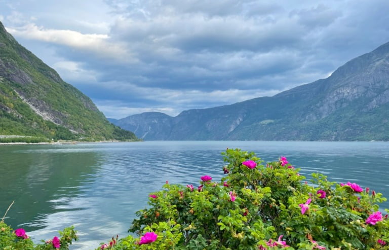 Hardangerfjorden sett fra bygda Eidfjord i Norge