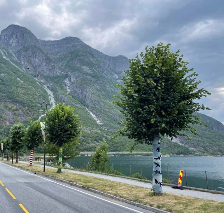 Knitted trees along the road in Eidfjord.